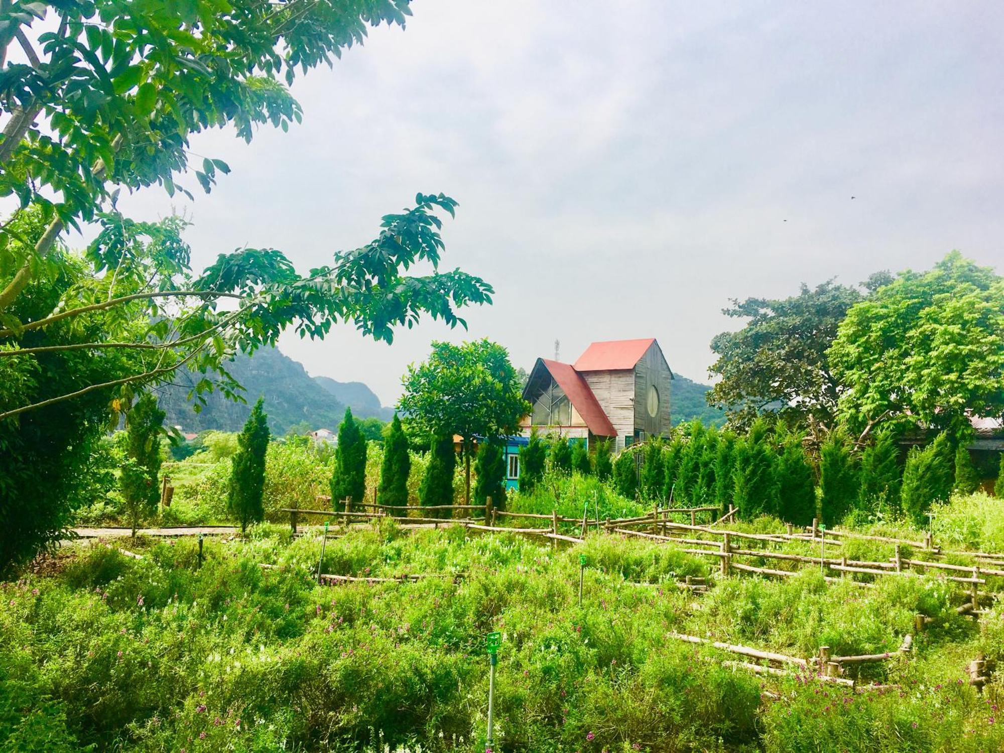 Trang An Secret Garden Hotell Ninh Binh Eksteriør bilde